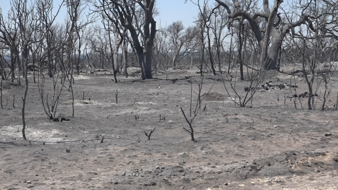 Efforts continue to contain the Mesquite Heat fire near Abilene ...