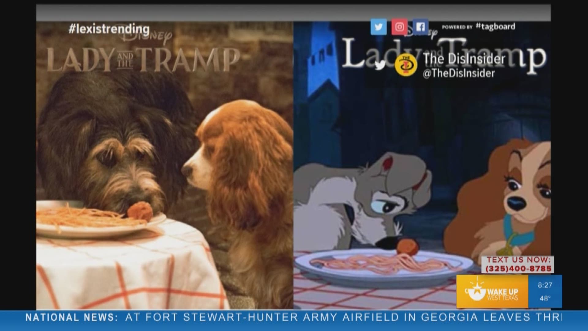 A Lady and the Tramp remake is trending this morning on twitter and getting everyone talking. Our WUWT team breaks down what people are saying.