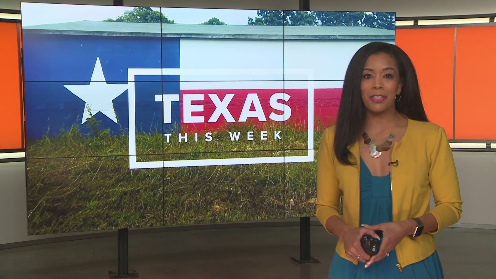 Texas businessman Mike Collier wants to be the next Lieutenant Governor of Texas. The Democrat says he has ideas to decrease property taxes and better fund public education. In Texas This Week, we sit down to discuss those ideas and why he's running.