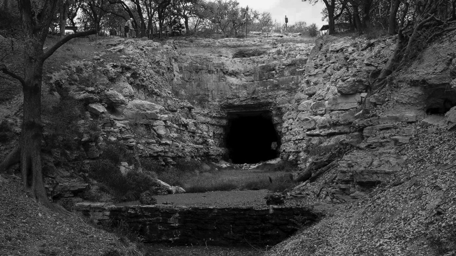 A railroad built a train tunnel near Fredericksburg 100 years ago, then later abandoned it. Then, some of nature’s strangest creatures moved in.