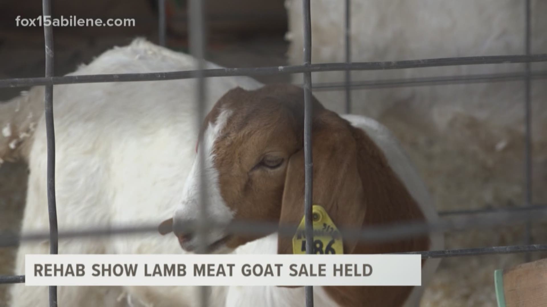 The annual 'Rehab Show Lamb and Meat Goat Sale' was held Tuesday.