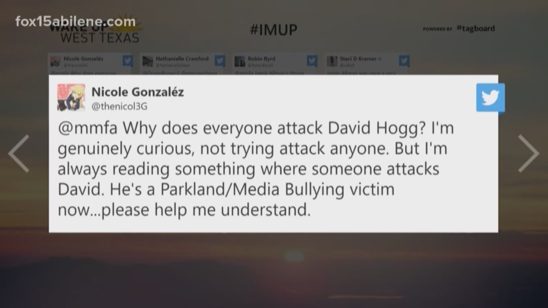 TV host Jamie Allman resigns after receiving backlash for criticizing Parkland Florida victim David Hogg. 