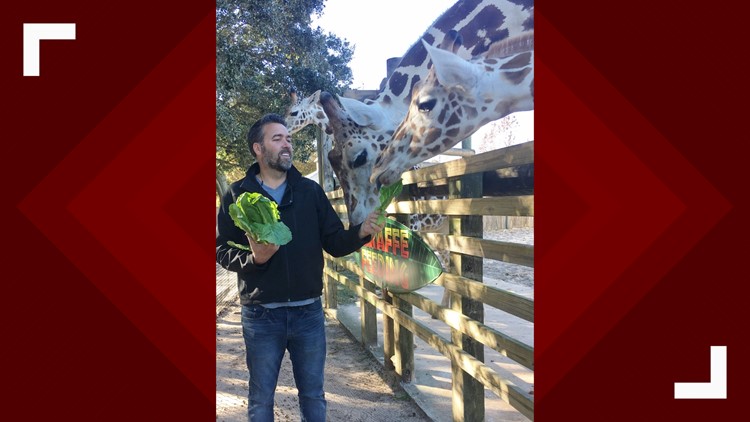 Meet The New Director Of The Abilene Zoo Myfoxzone Com