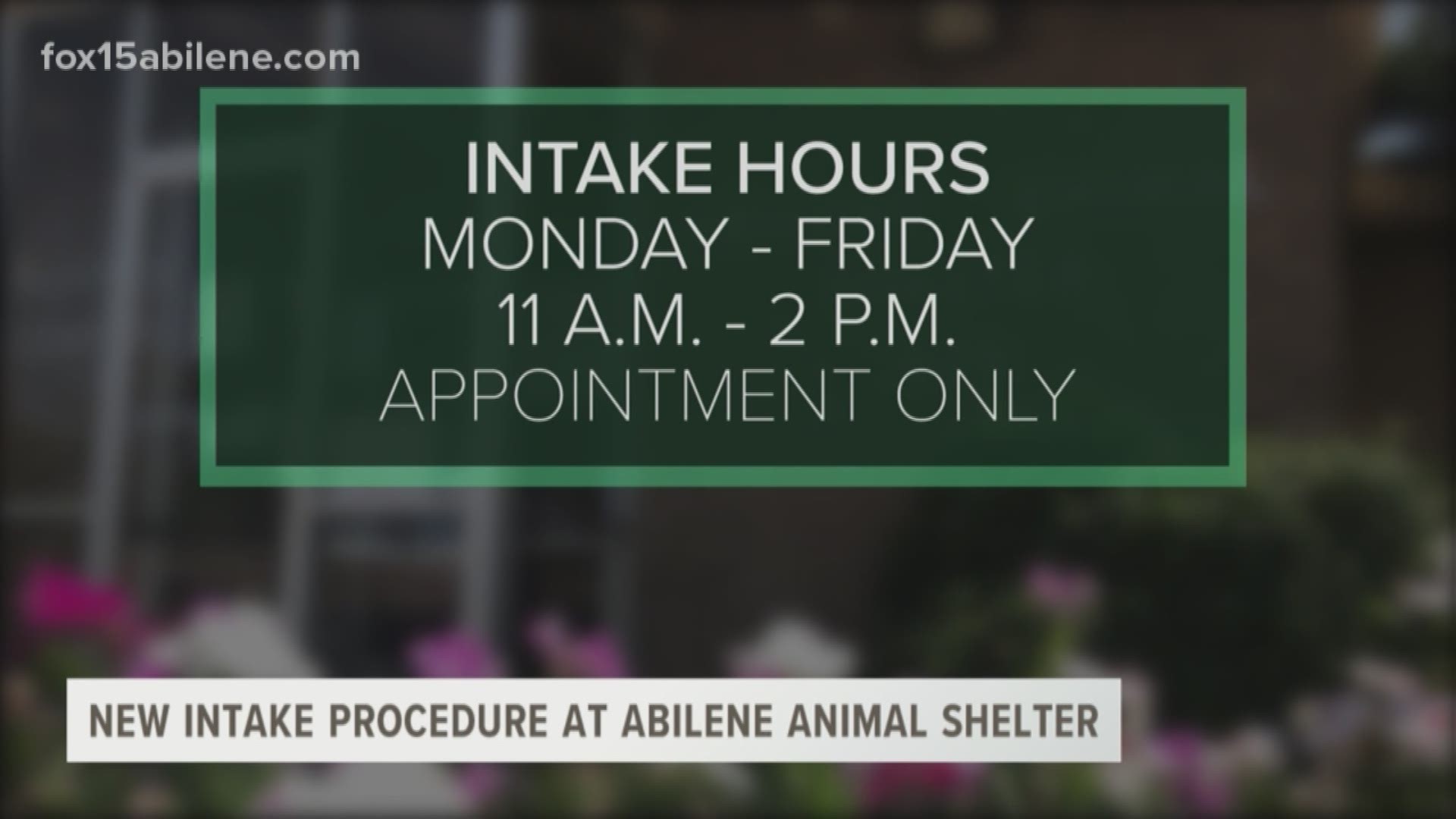 New intake procedure at Abilene Animal Shelter