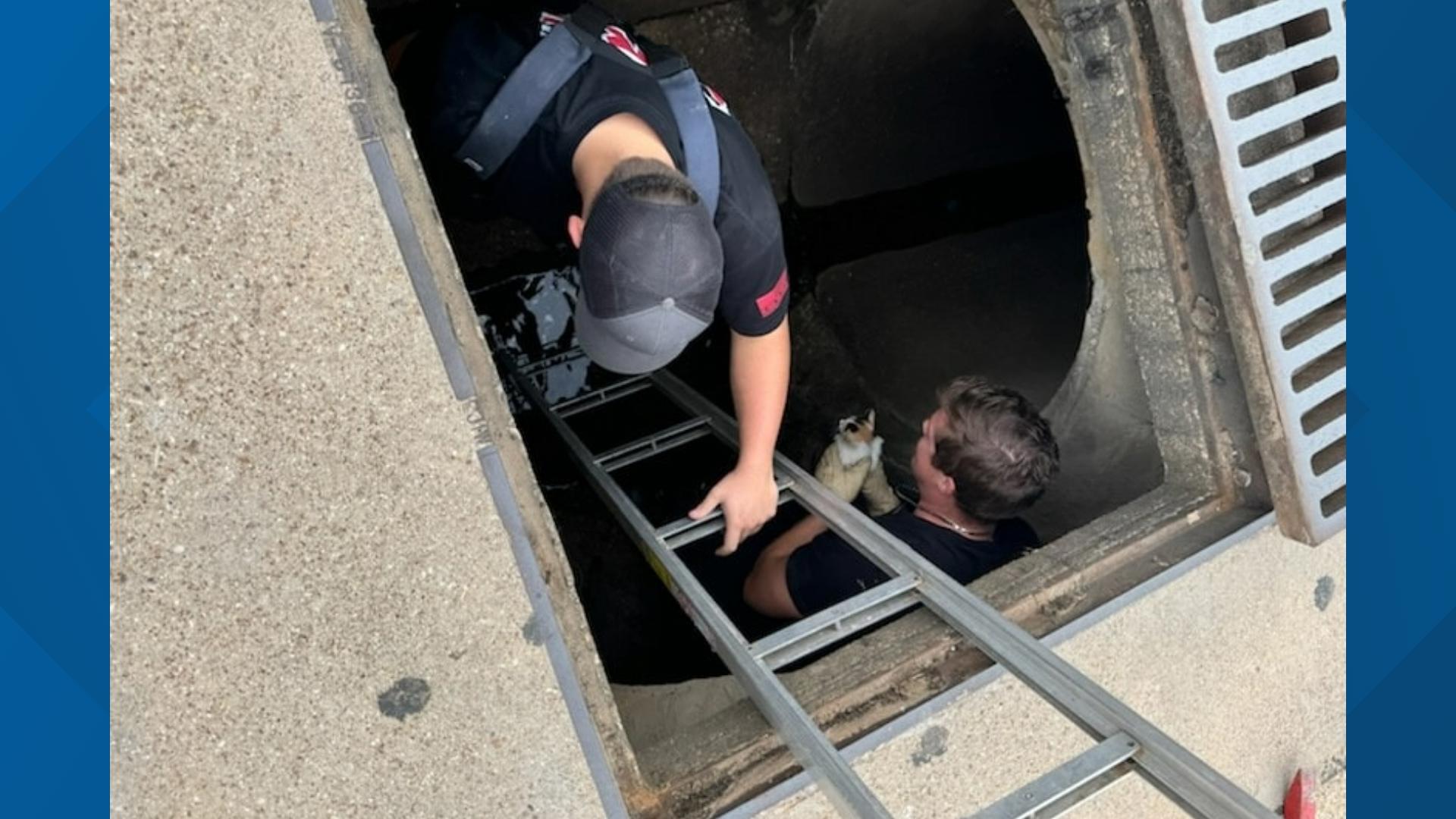 Firefighters rescue kittens stuck in East Texas storm drain | myfoxzone.com