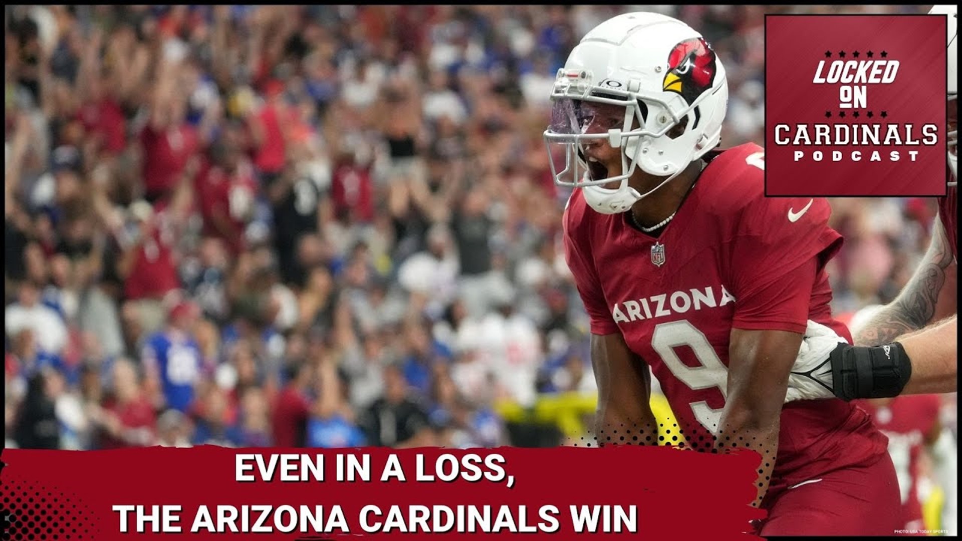 fox arizona cardinals