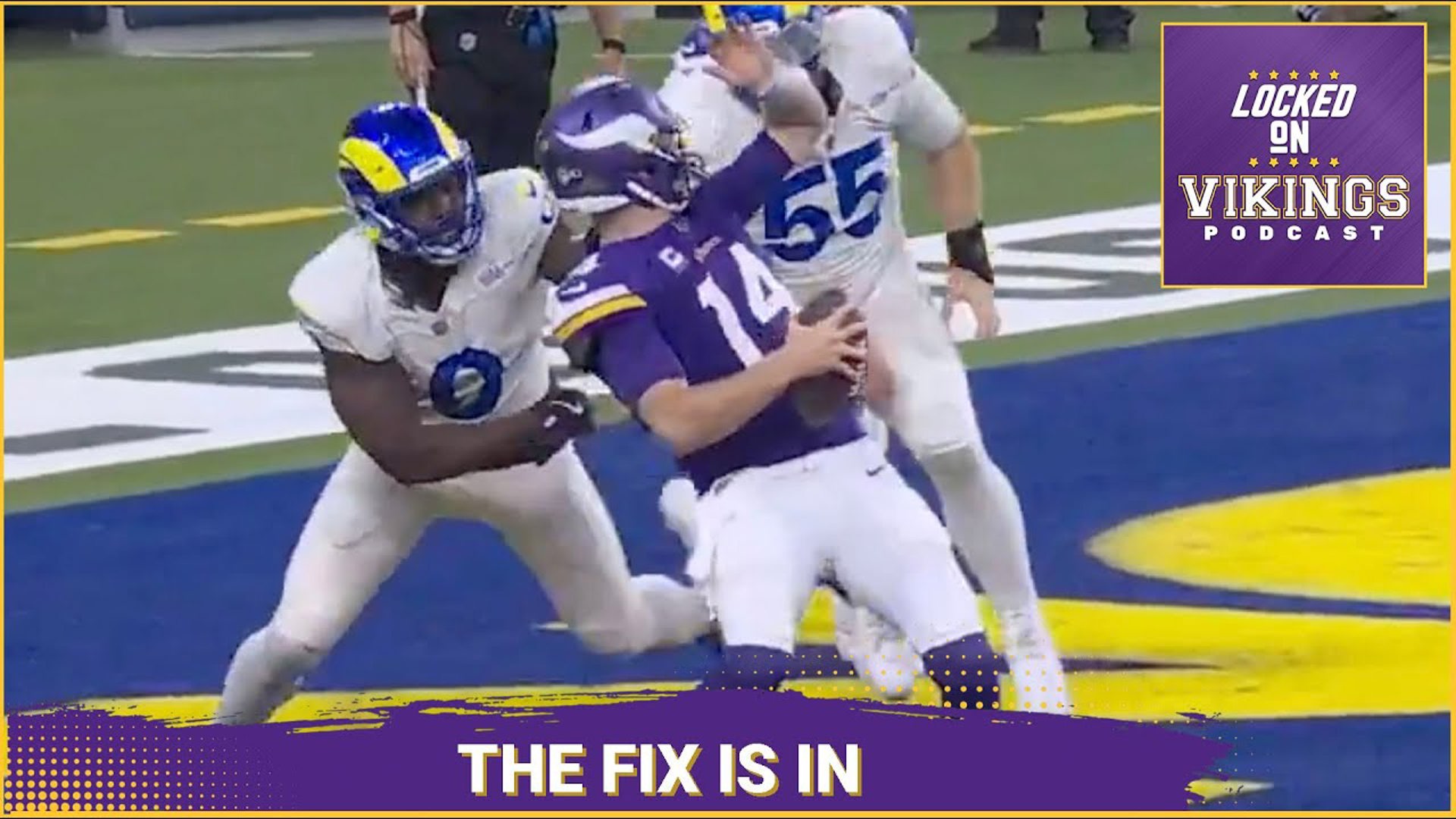 The Minnesota Vikings Got Hosed.