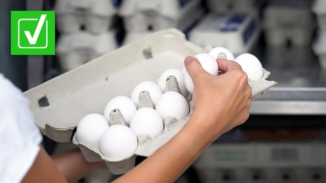 Bird flu outbreak Eggs safe to consume