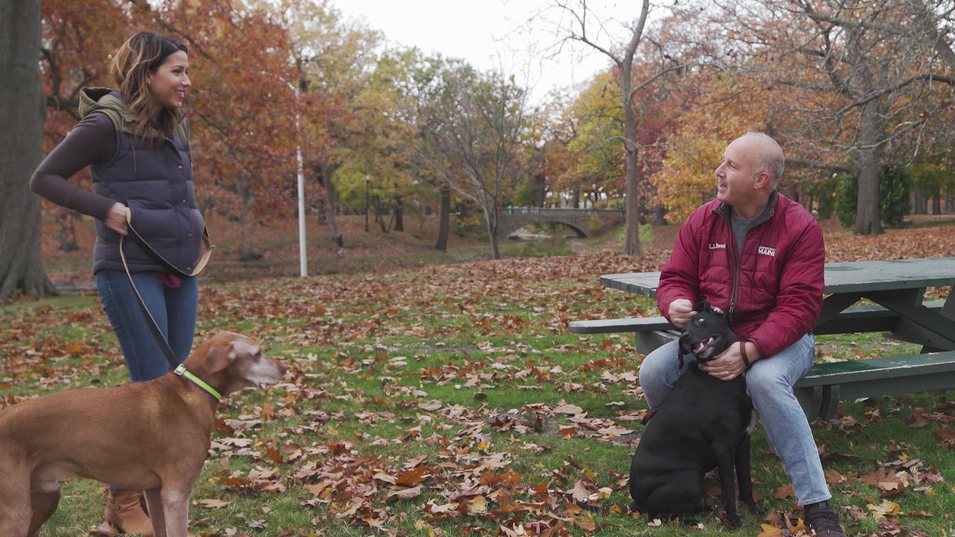 Animal Refuge League of Greater Portland annual sleep-in ...