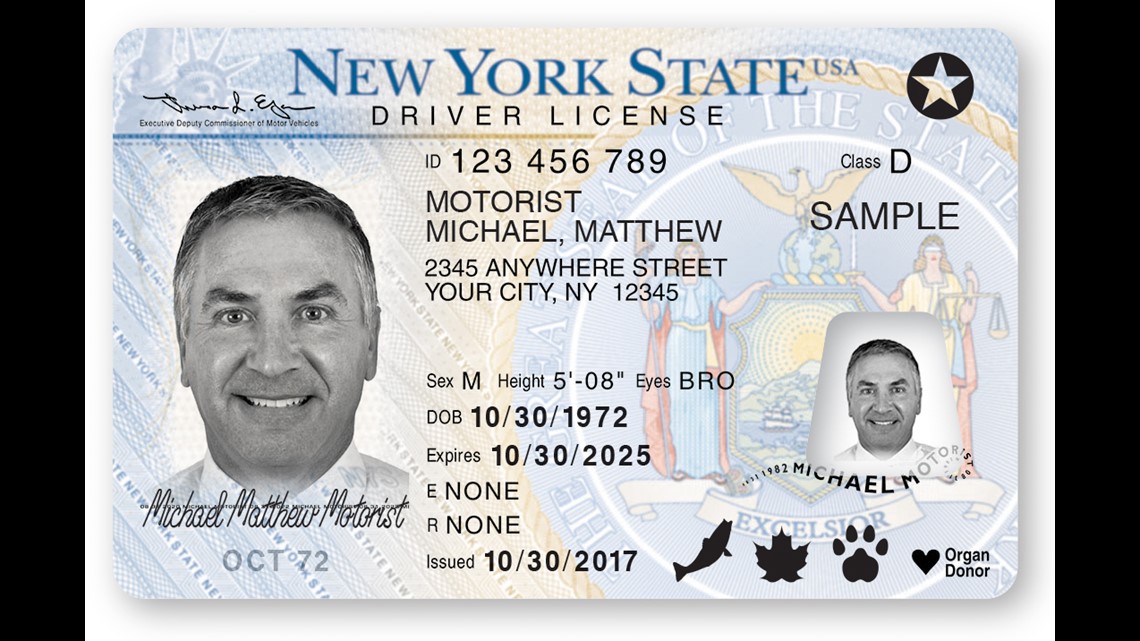 drivers license photos search drivers license photos search