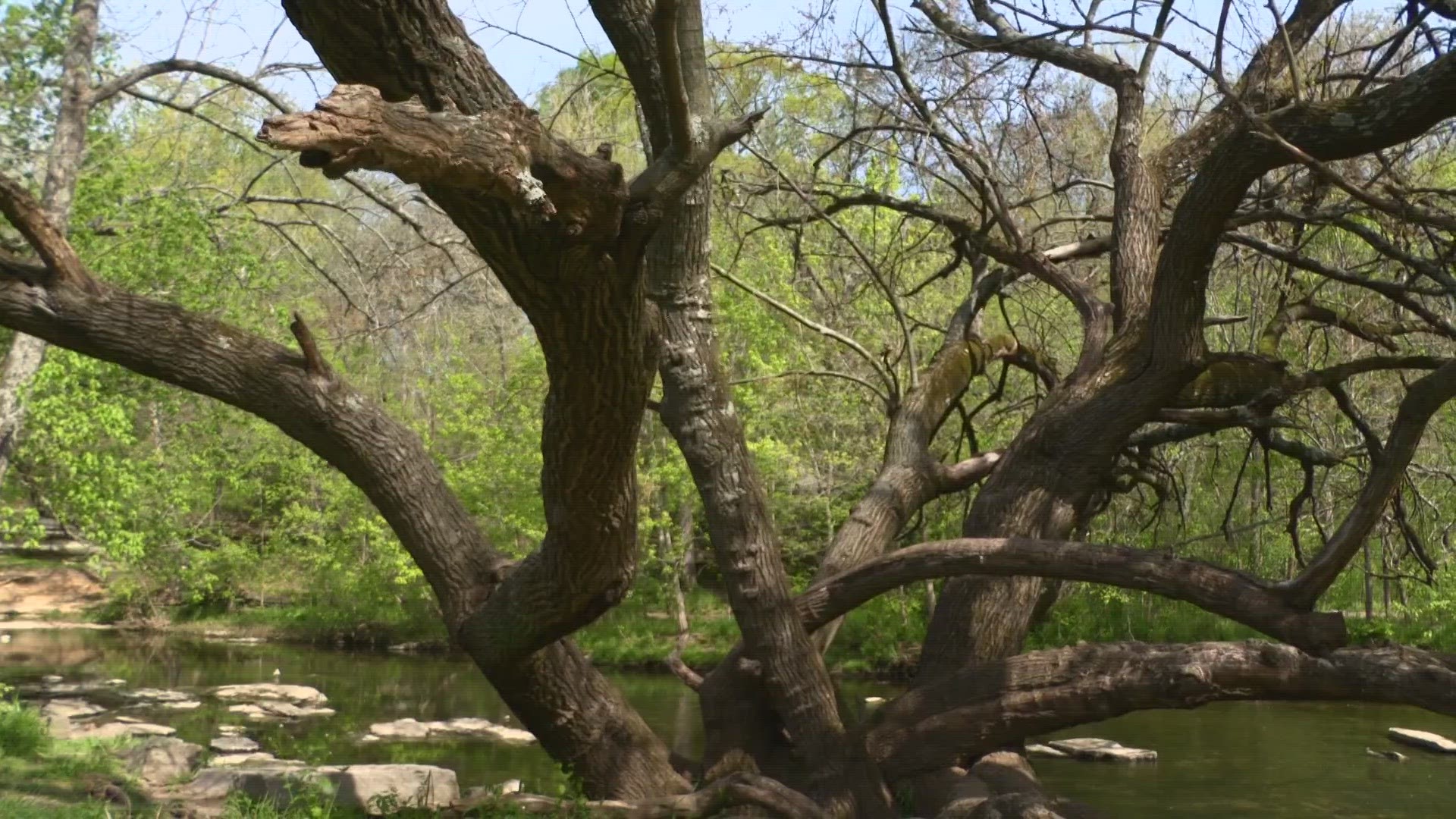 At the end of a week when everyone is looking for ways to heal in Louisville, WHAS11 News learned one coping mechanism involves getting outside.