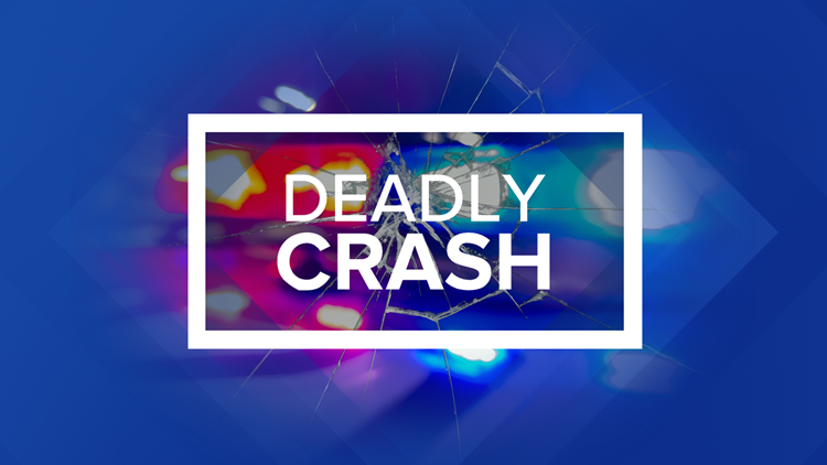 DPS: 2 adults, 2 children die during head-on crash near Hamilton