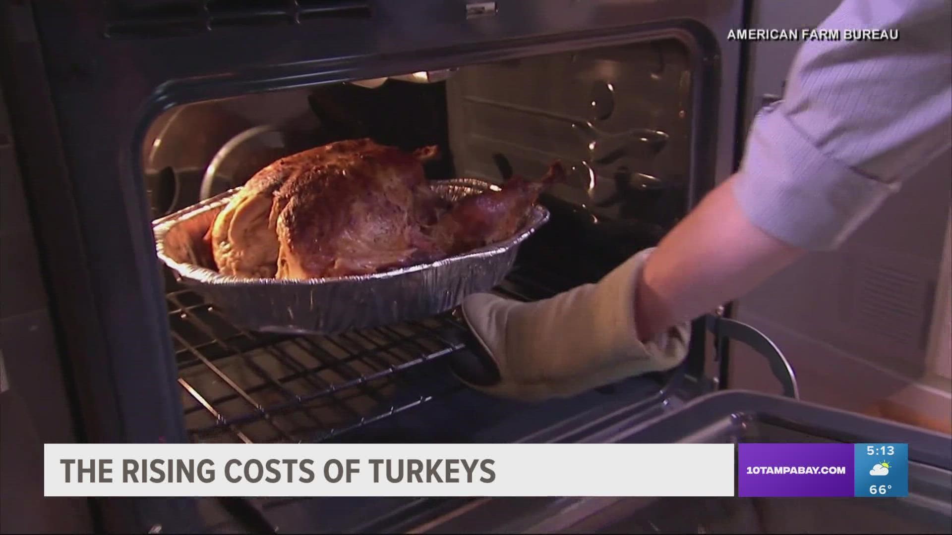 There are a lot of factors impacting turkey prices this year: the avian flu, costs of feed, supply chain slowdowns...