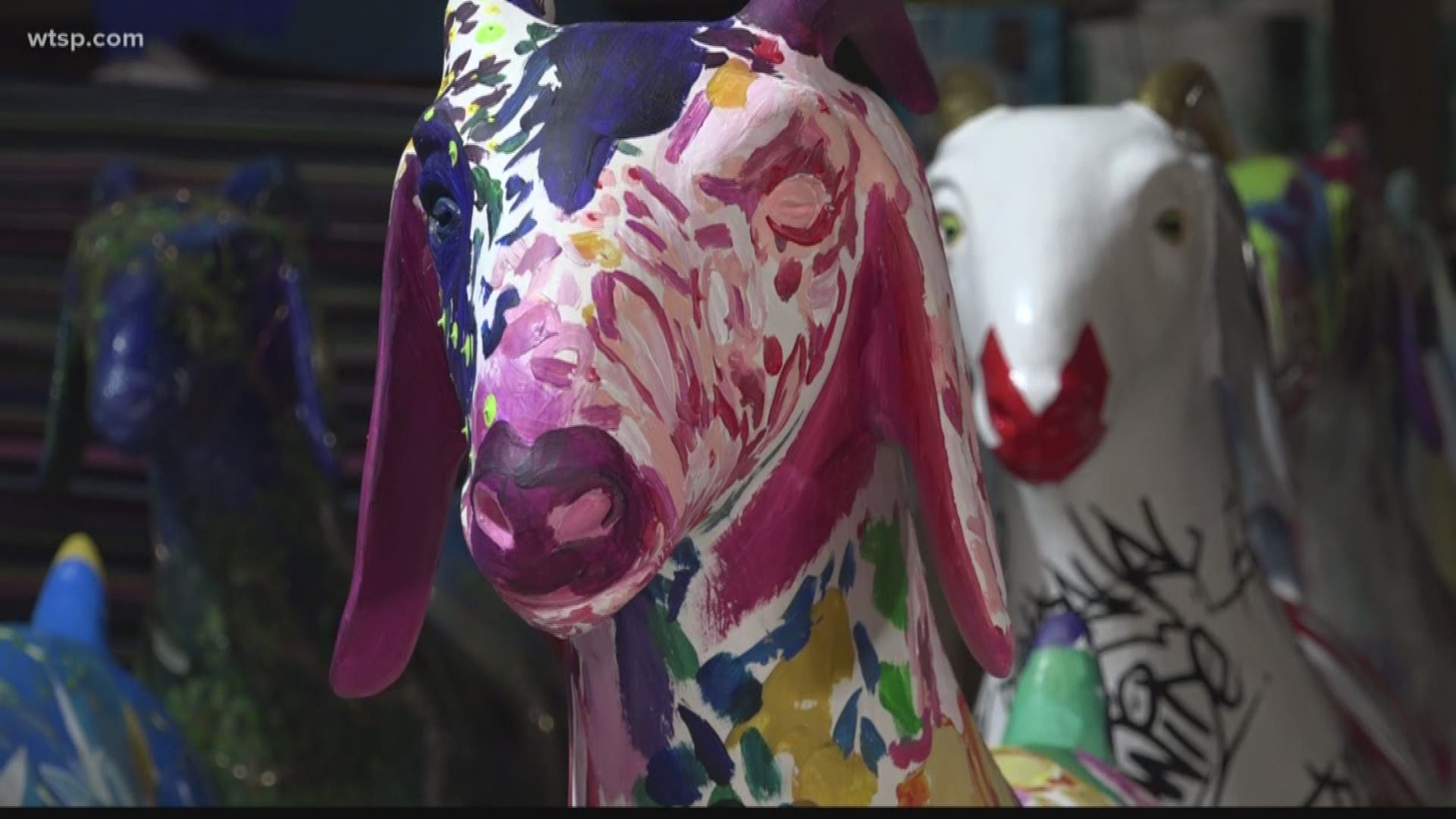 Project G.O.A.T. will auction off 55 goat statues in 2021 at Super Bowl 55 in Tampa. Money raised will be given to groups who fight human trafficking.