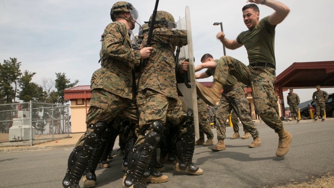 U.S. lawmakers vow commitment to South Korea is 'ironclad' - Vimarsana News