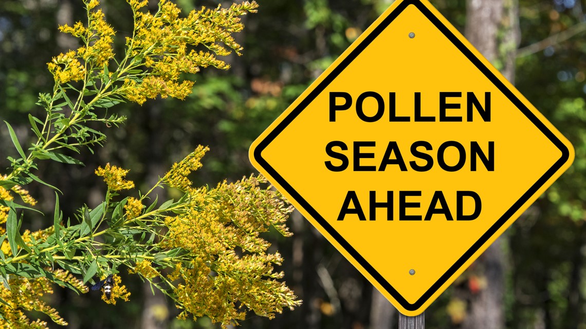 Allergies in West Texas could be peaking this week | myfoxzone.com